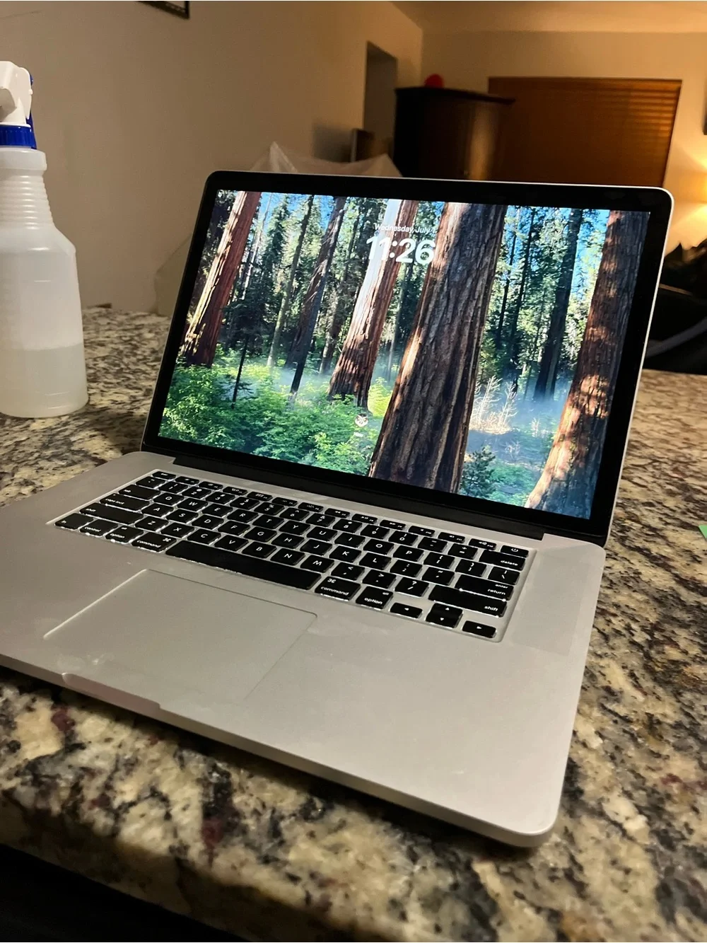 Apple MacBook Pro Silver 15-inch Core i7 16GB Somona